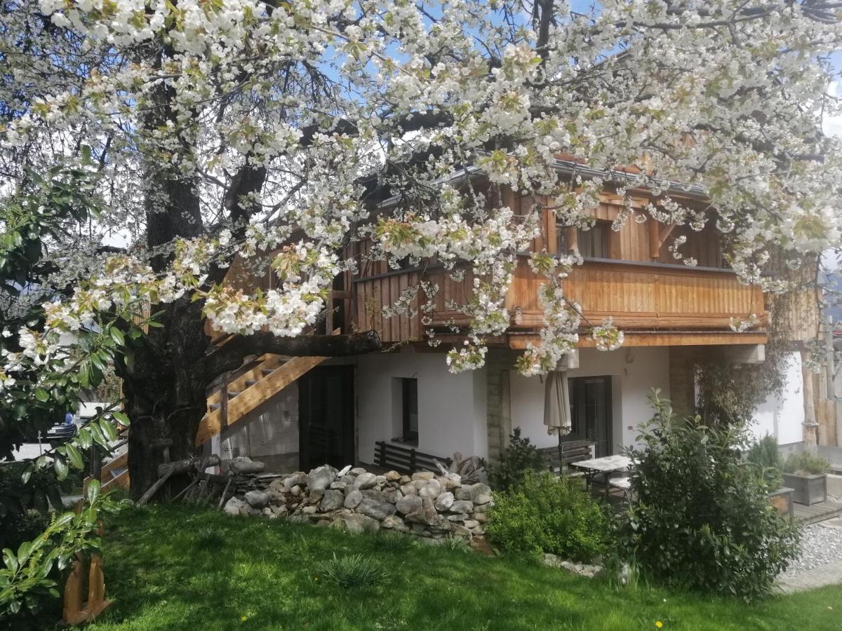 Appartement Seppi Innsbruck Zewnętrze zdjęcie