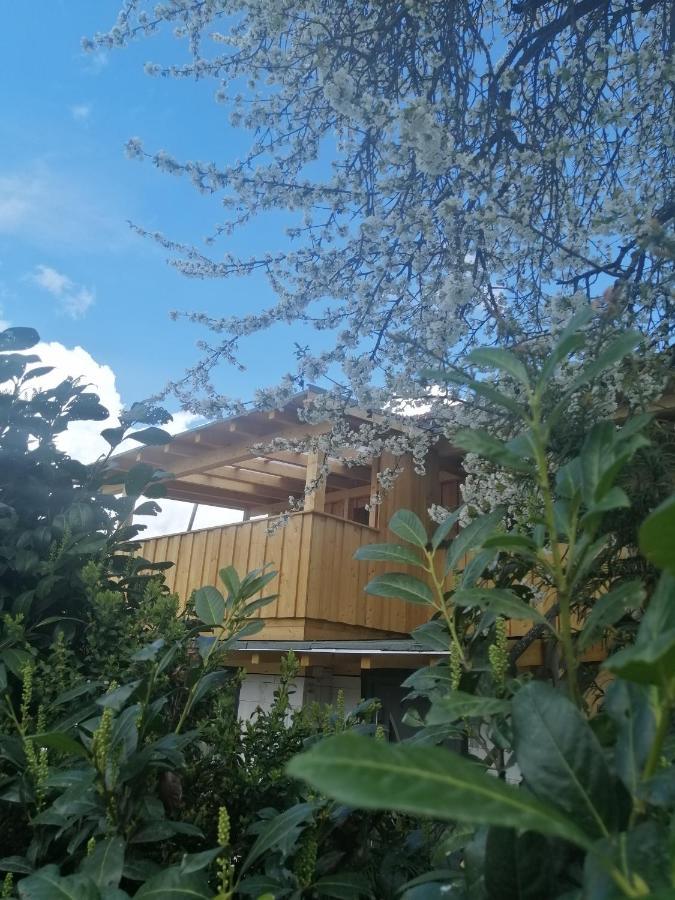 Appartement Seppi Innsbruck Zewnętrze zdjęcie