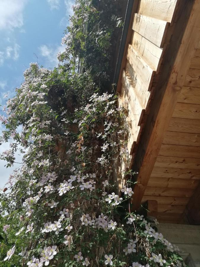 Appartement Seppi Innsbruck Zewnętrze zdjęcie