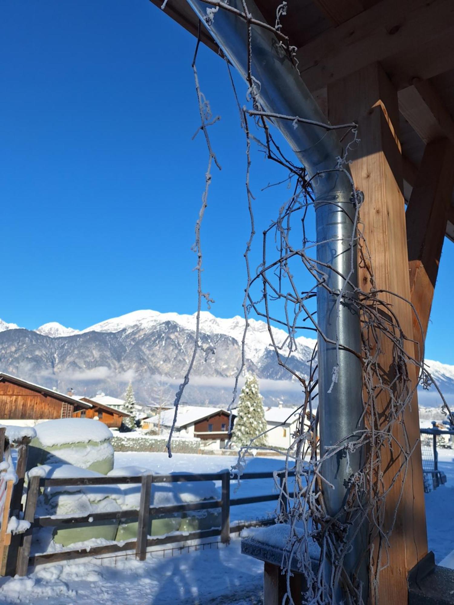 Appartement Seppi Innsbruck Zewnętrze zdjęcie